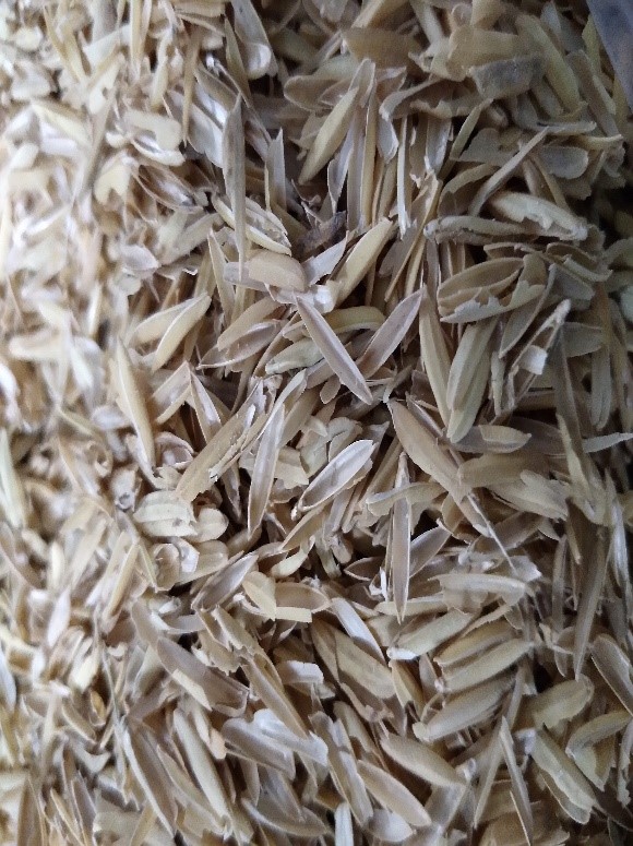 Cascarilla de arroz antes de ser carbonizada